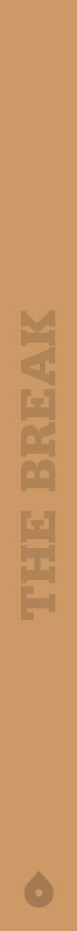 This is a separator.